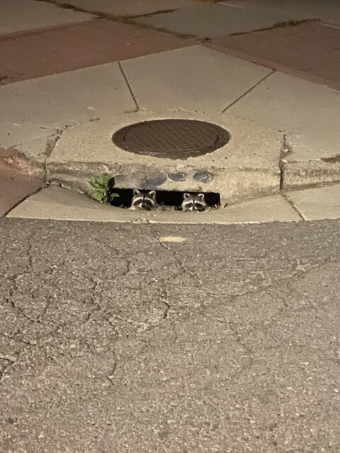 GQ007 @gq007 cover picture