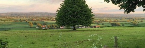 Grace Deluna @gracedelunafree cover picture