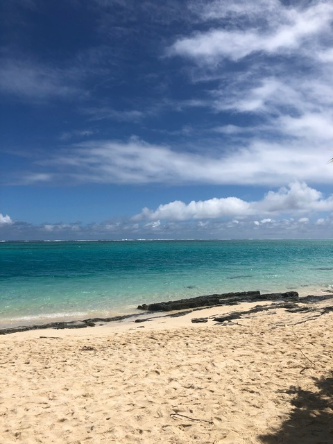 Gracie @gracie_xxxx cover picture