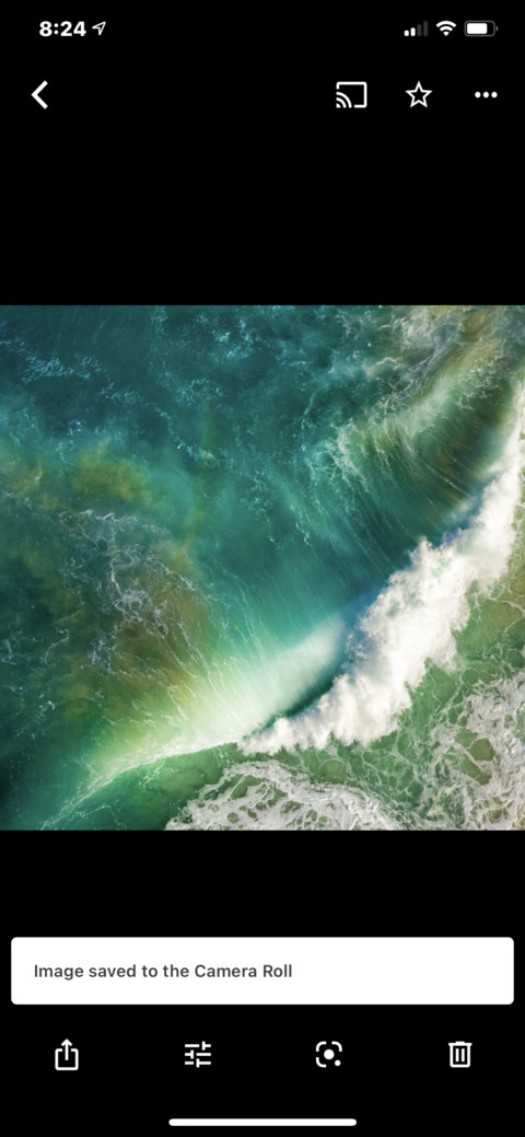 Green Eyed Phoenix @greeneyedphoenix cover picture