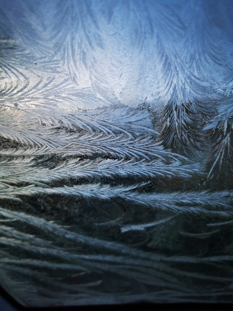 GW74 @greywolf74 cover picture