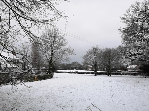 Jules @groudon cover picture