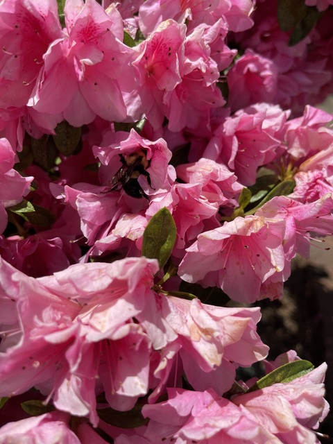 The GurlN3xtD00r @gurln3xtd00r cover picture