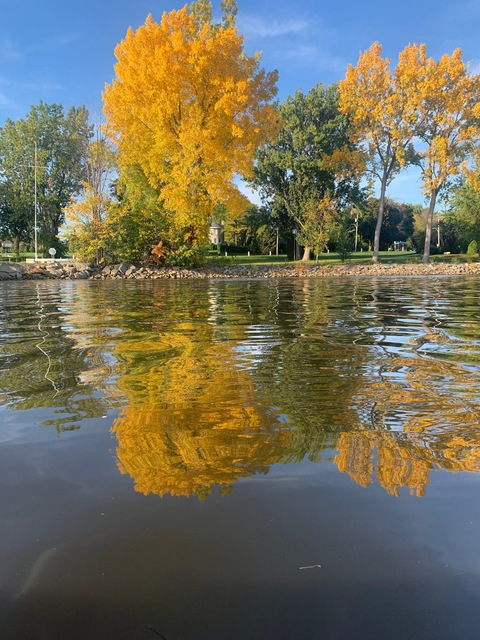 MONTREAL @h_montreal cover picture