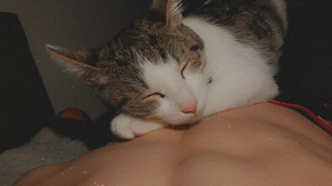 Baby01 @habibi01 cover picture