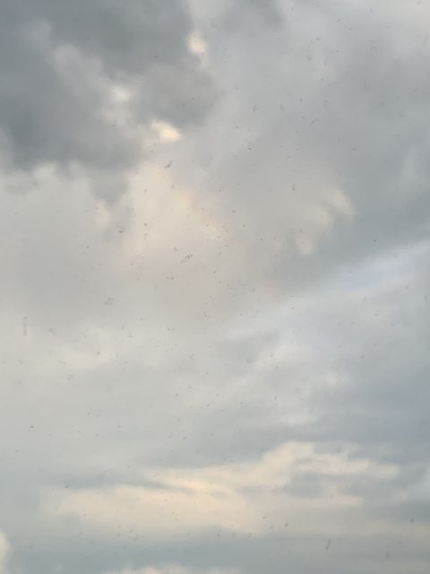 hailey smith @haileysmith0 cover picture