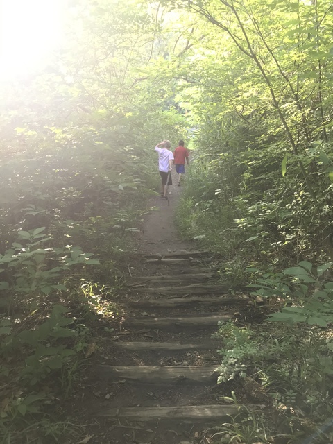 hails @hailsss_ cover picture