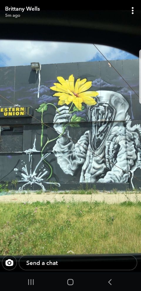 half based @halfbased cover picture