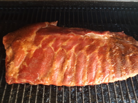 Half Blooded Ginger @halfbloodedginger cover picture