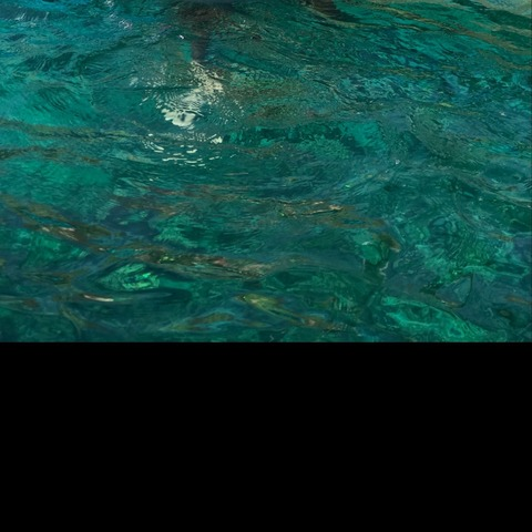 Halieleo @halieleo cover picture