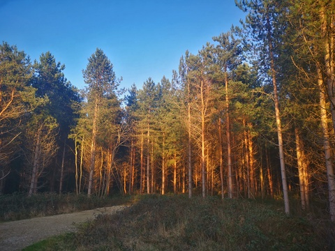 KingH @halloweenqueen cover picture