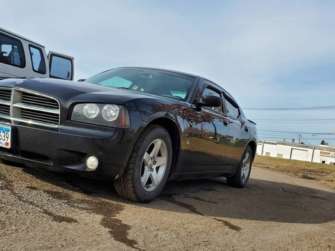 Eric55 @hammer1239055 cover picture