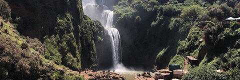 Hannah🍌 @hannahdotwan cover picture