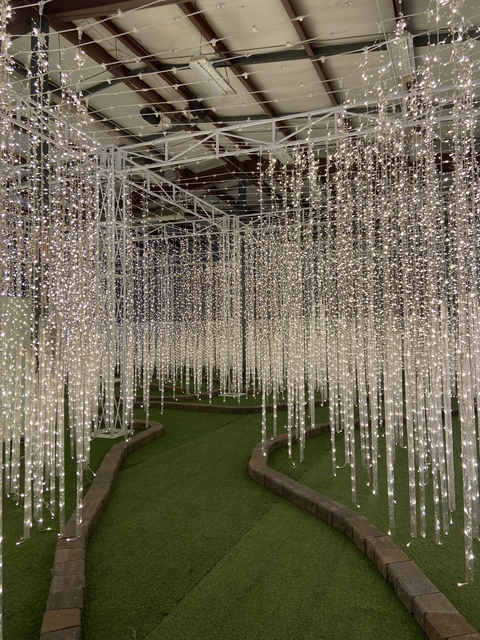 Hannah Snyder @hannahsnyder cover picture