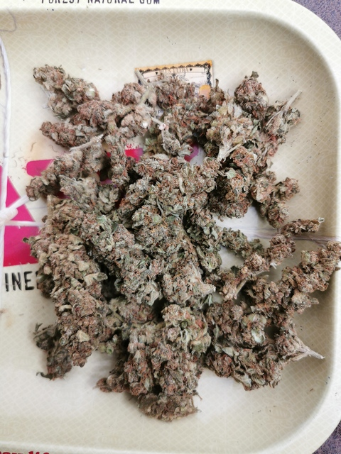 DailyRomance @happysex cover picture