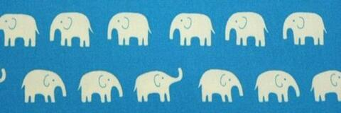hayley @hayleylouise cover picture