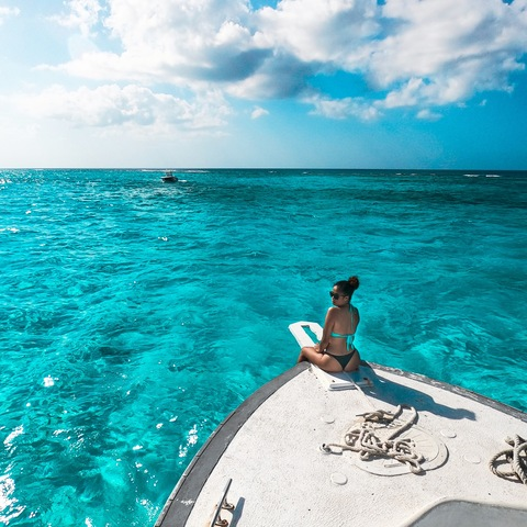 Zel A. @hazelnuttelly cover picture