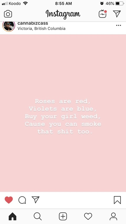 HazeyMiss @hazeymiss cover picture