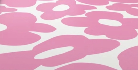 Tayler @heavensenthills cover picture