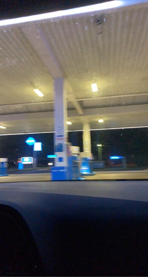 HeddaButterfly @heddabutterfly cover picture