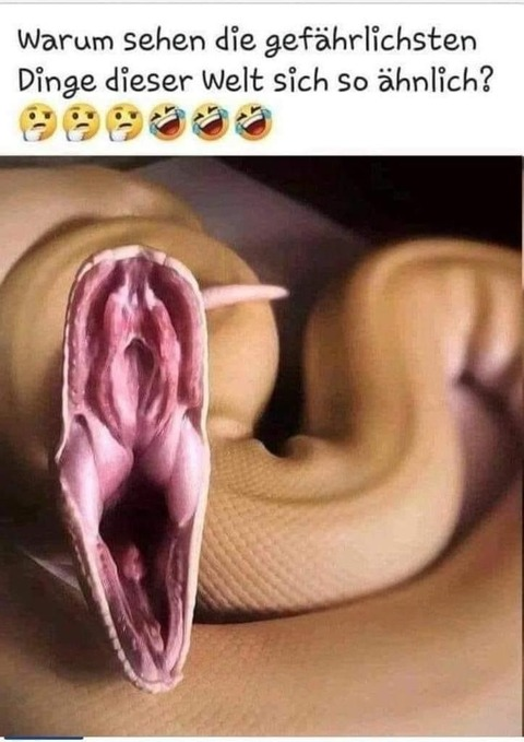 u195137342 @heissesding432 cover picture