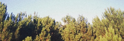 Hellishxboy @hellishxboy cover picture