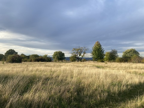 Hendrix &amp; Toni @hendrixntoni cover picture