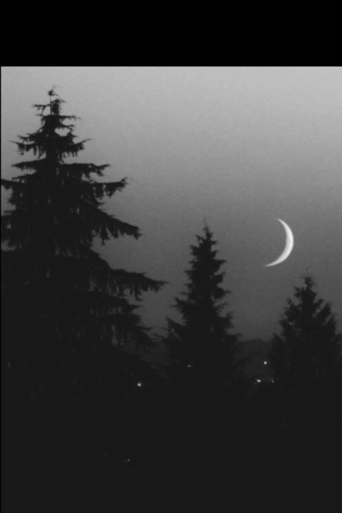 alice @hexedalice cover picture