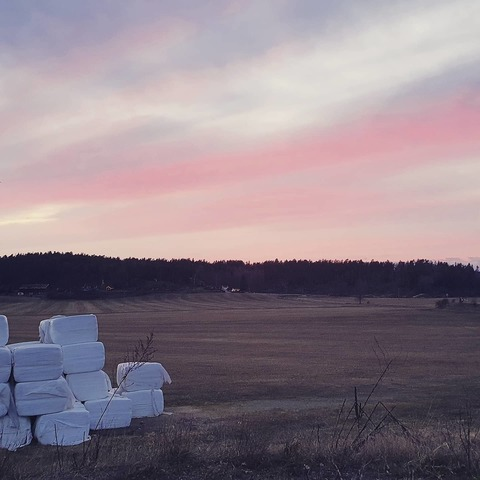 Emma Eriksson @heyjsan cover picture