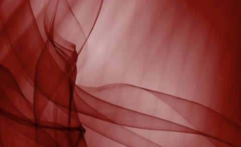 78203837 @heyosbaya7227 cover picture