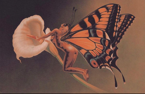 Gold Mine @highgoldie cover picture