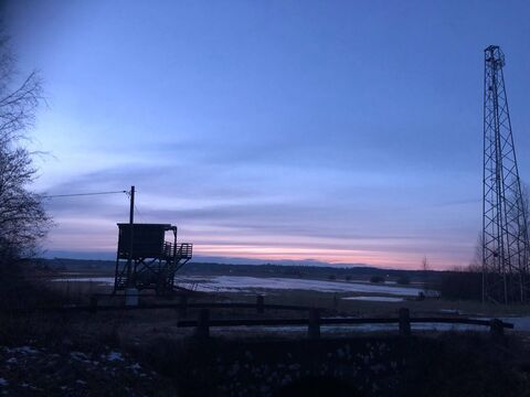 Mika @hiyamikaela cover picture