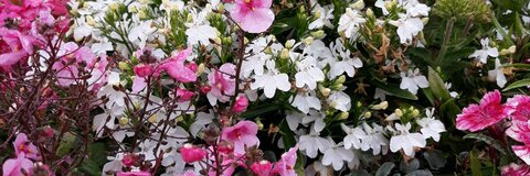 Nube @hodeia cover picture