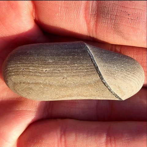 P.B. @hoggwyld cover picture