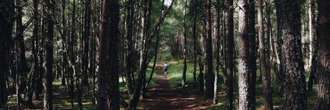 Holly Amelia @holl36c cover picture