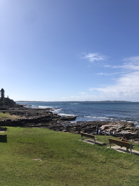 Holly @hollylou12 cover picture