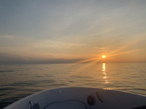 hollynoel @hollynoel0 cover picture