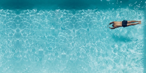 Hollywood @hollyshit cover picture