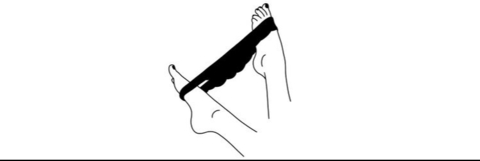 Holo Fox @holofox cover picture