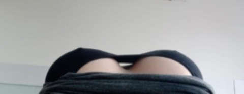 Holy Ginger @holyginger cover picture