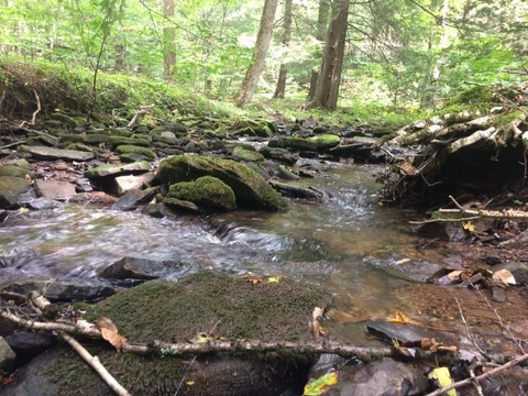 jhon @honcho1229 cover picture