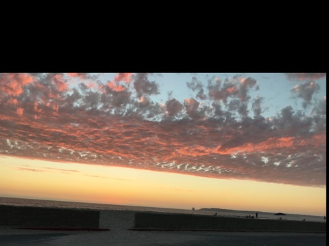 Honey🍯 @honey1738 cover picture