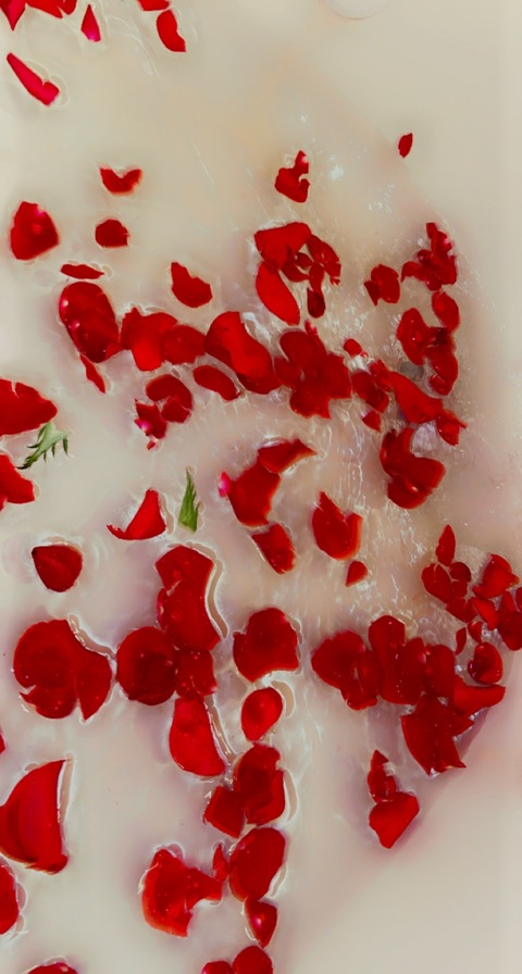 HoneybeeH @honeybeeh cover picture