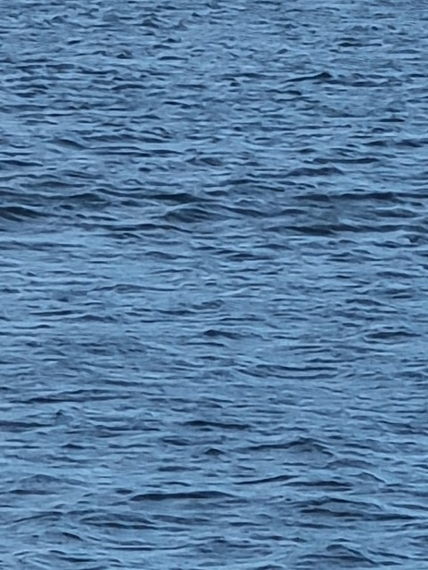 Annu @honeybgood cover picture