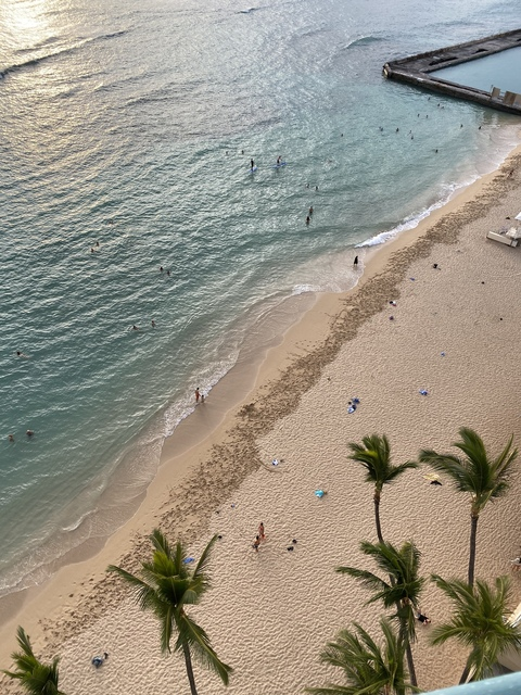 Steven @honolulu cover picture