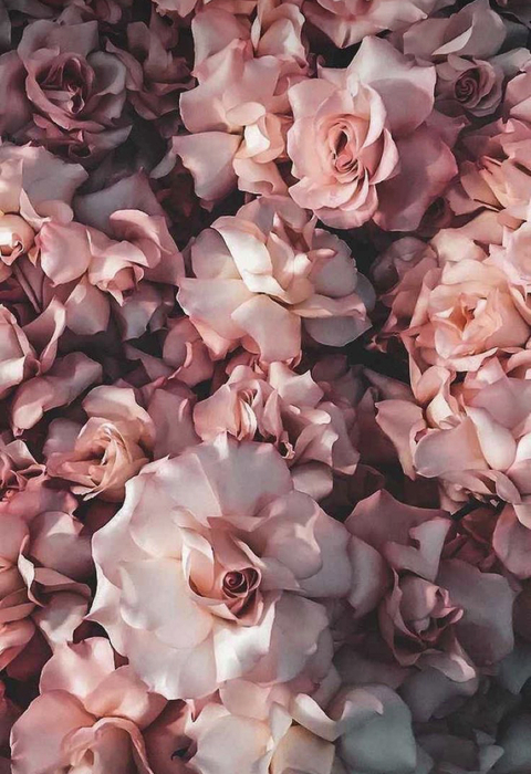 Wiki @hot_knee cover picture