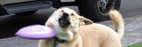 menino roxo @huldra cover picture