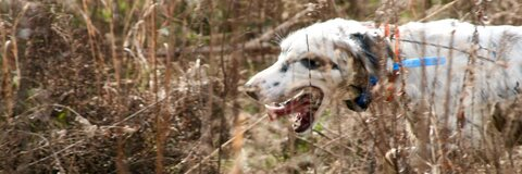 Hunter Yeager @hunter14 cover picture