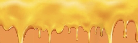 Honey @hxnxy cover picture