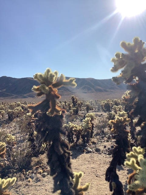 Hyperizer @hyperizer23 cover picture